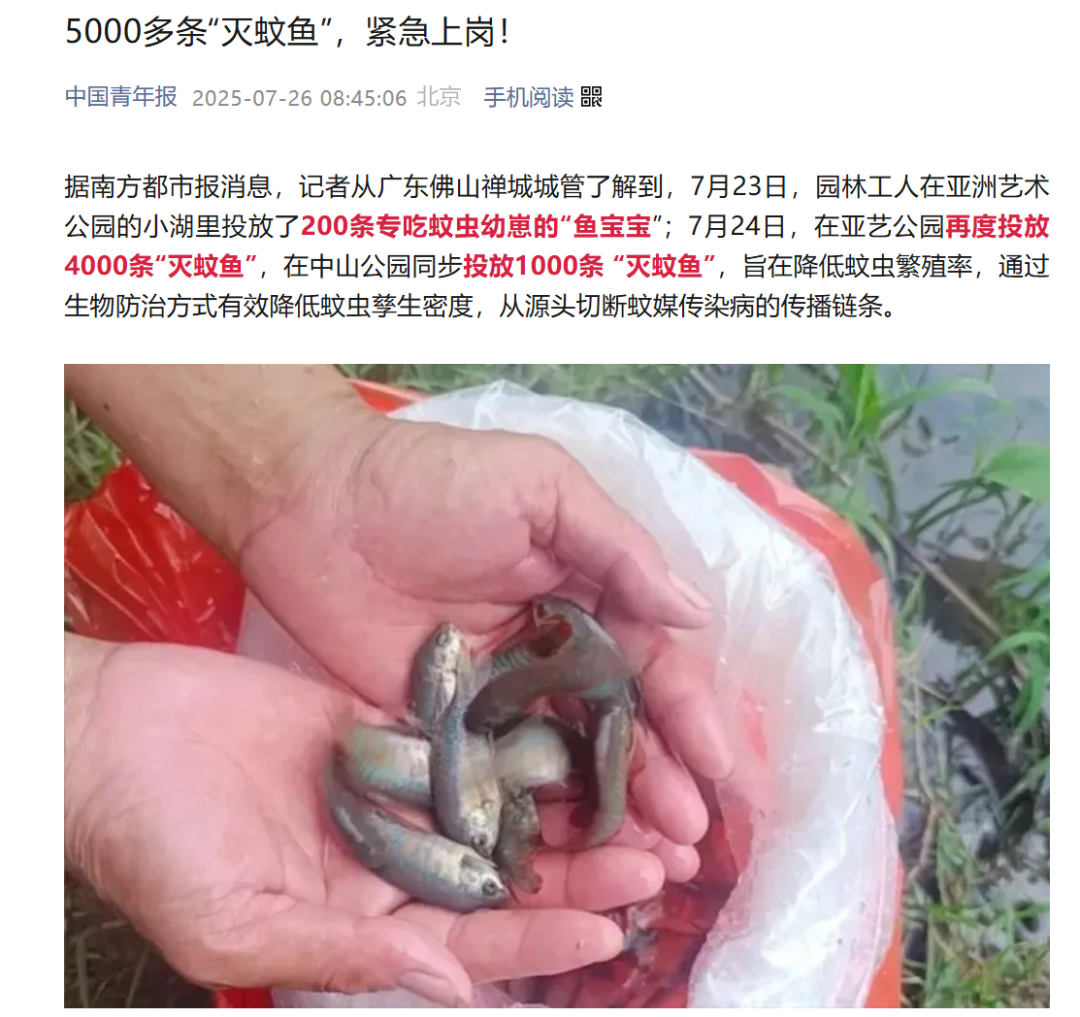 “灭蚊鱼”是外来物种？还有人想养家里！最新提醒
