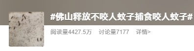 放蚊子吃蚊子 应对基孔肯雅热广东尝试新办法