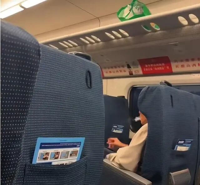 男子高铁座位上抽烟被铐走！12306：严重将导致列车停驶