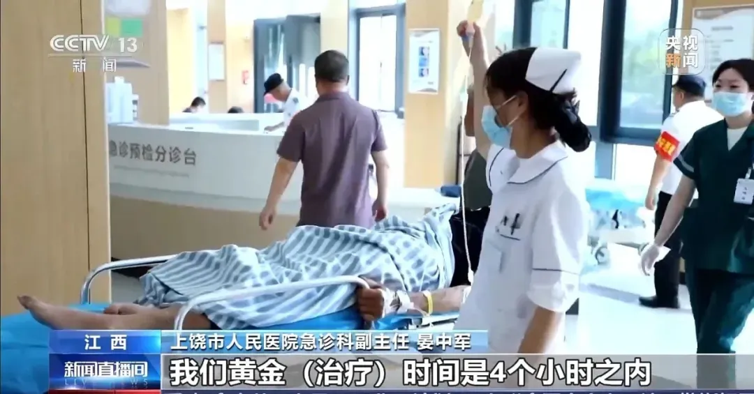 男子进山遇到五步蛇，想抓来“玩”，结果被喷一脸毒！