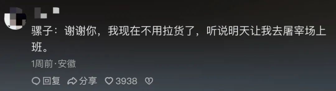 峨眉山骡子“累到发抖”视频引发网友破防后，骡队被无人机代替失业，骡队村委讲述现状