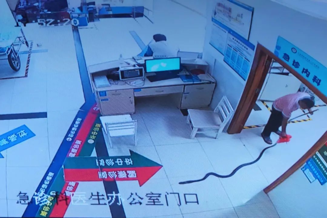 老人被蛇咬伤，家属拖着两米多长的“凶手”冲进医院
