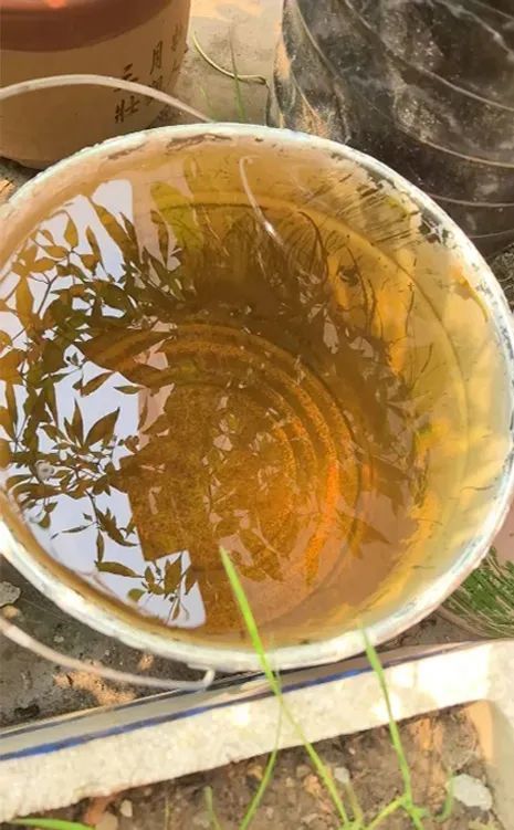 小区里这种水千万别用，请直接倒在地上！（不要倒进下水道）