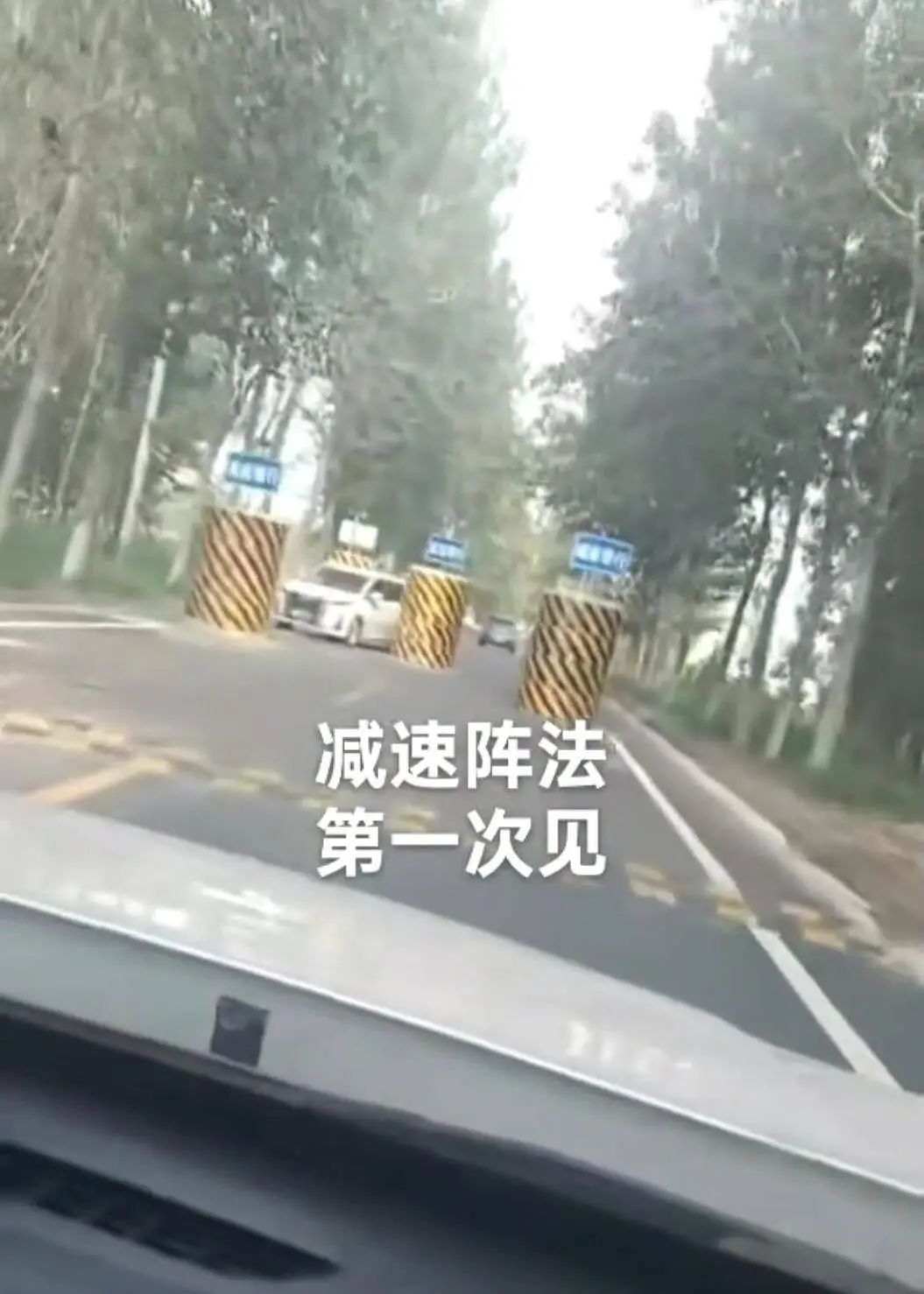 一马路设5个粗大水泥墩，司机经过像穿“梅花桩”，当地回应