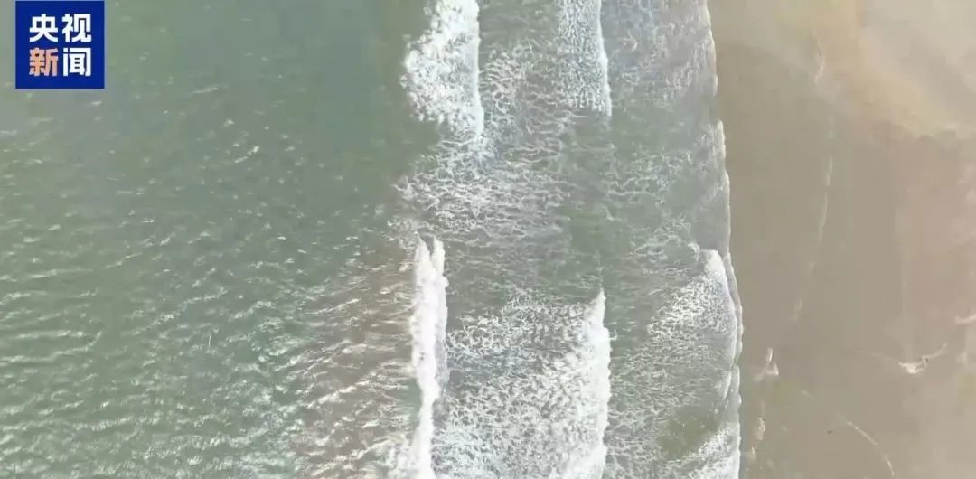 暑假开启，小海鲜伤人事件频发！赶海防护必看