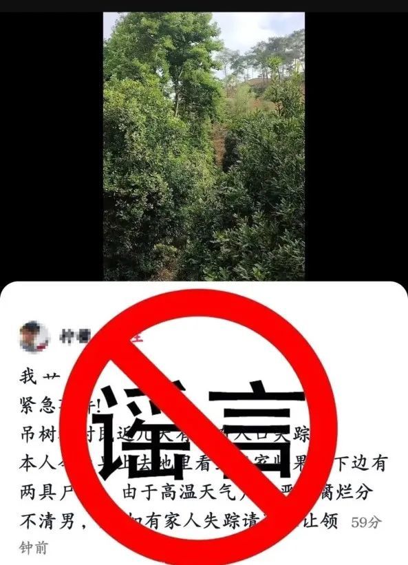 网民编造“发现两具尸体”虚假信息，被云南网警依法查处