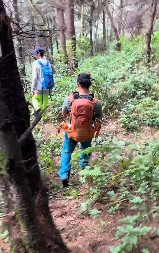 7岁男孩在大理苍山失踪超24小时，知情人士称其患有自闭症