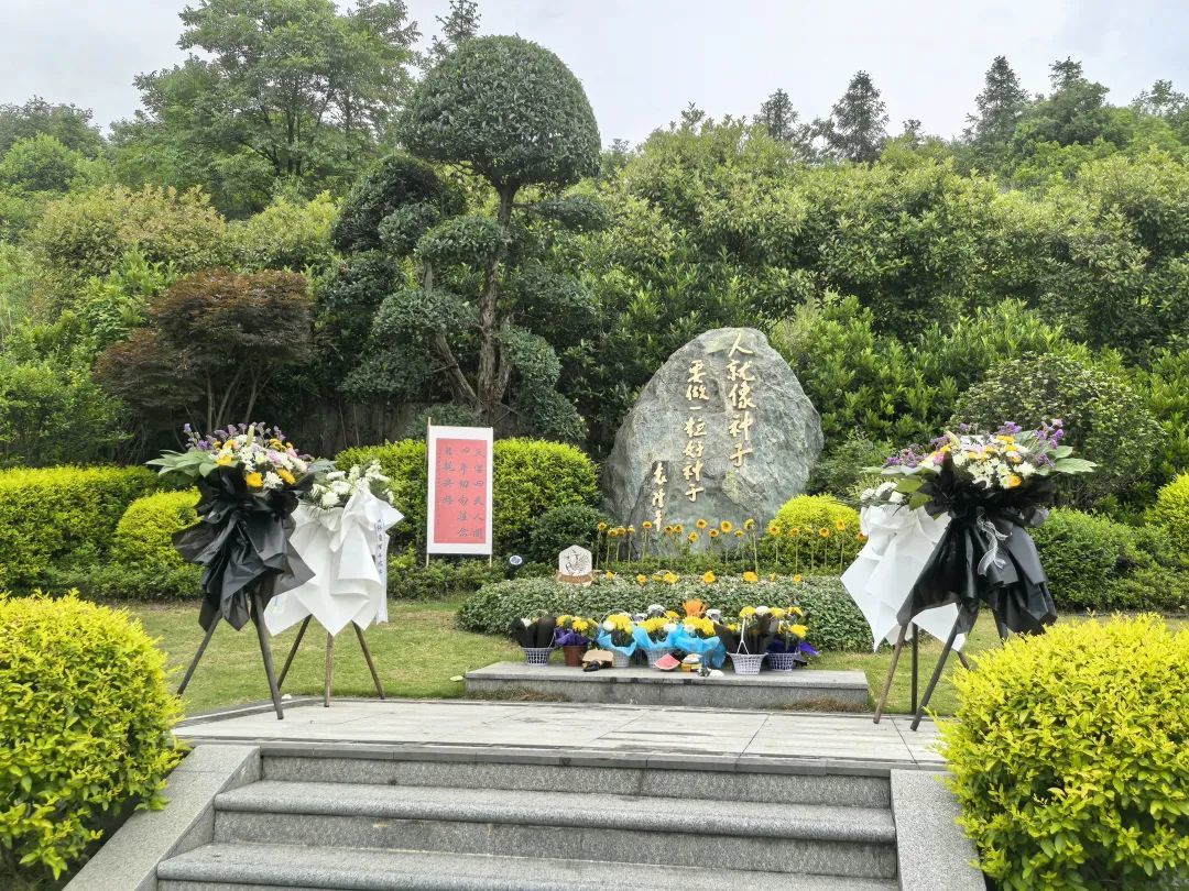 袁隆平逝世四周年，今天他的墓前摆满了鲜花……