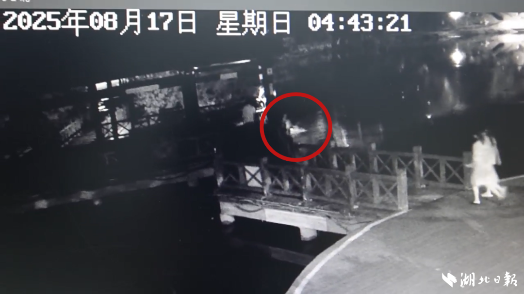 凌晨4点，彭秀芝（男，58岁）纵身跳下