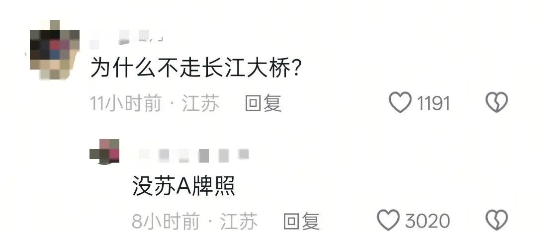 猛猪过江！南京六头野猪丝滑渡江，网友：“二师兄”耐力了得
