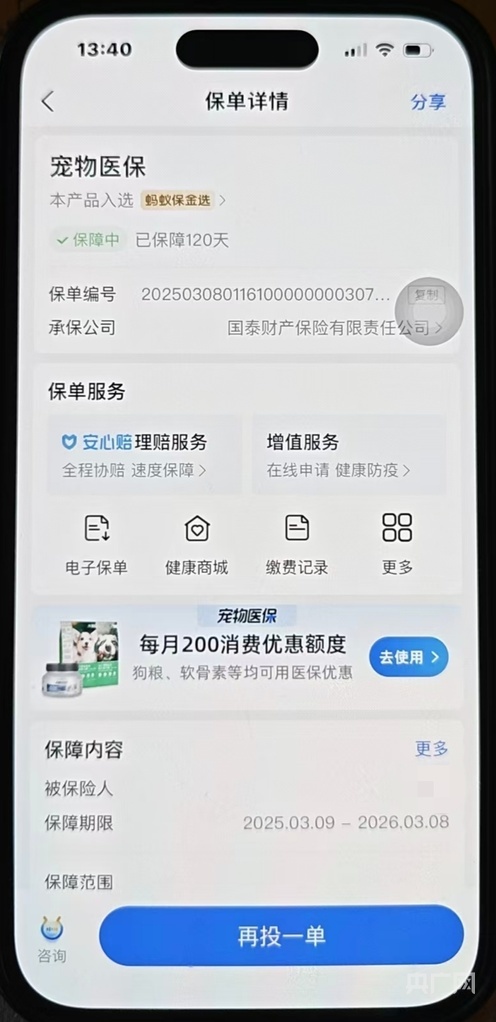 宠物狗长肿瘤手术后保险“拒赔” 专家：亟待出台“标准条款”