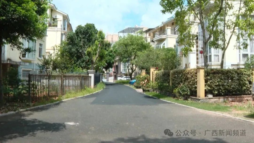 广西南宁一小区养鹅驱蛇？真有用，但……