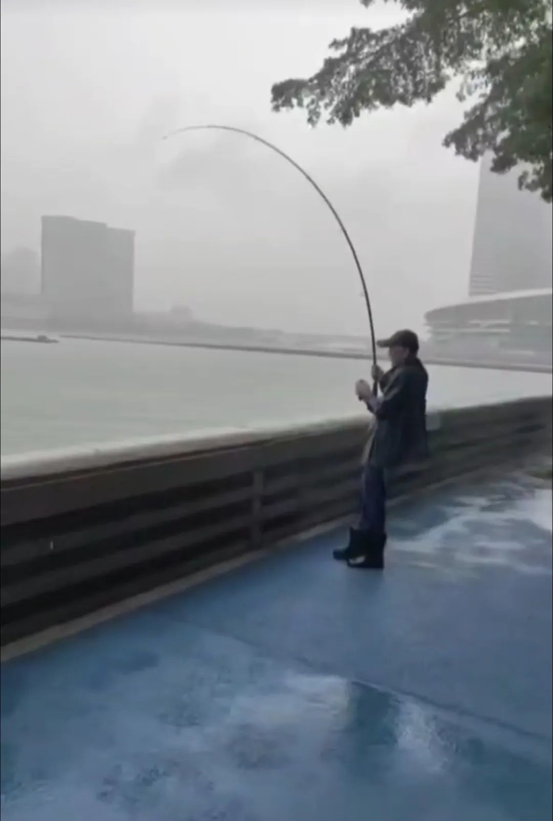厦门一男子钓到了72斤重的石斑鱼，被人3000元买走，网友炸锅了……