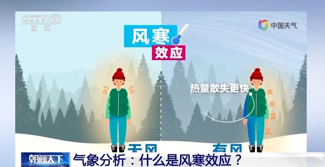 为什么在风中体感更冷？了解一下“风寒效应”