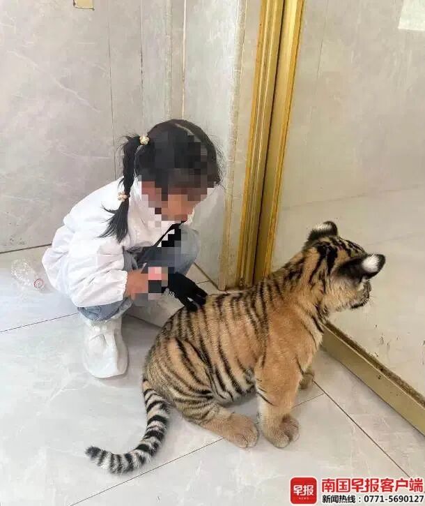 广西贵港一7岁女童被小老虎咬伤，相关部门已介入，景区积极回应
