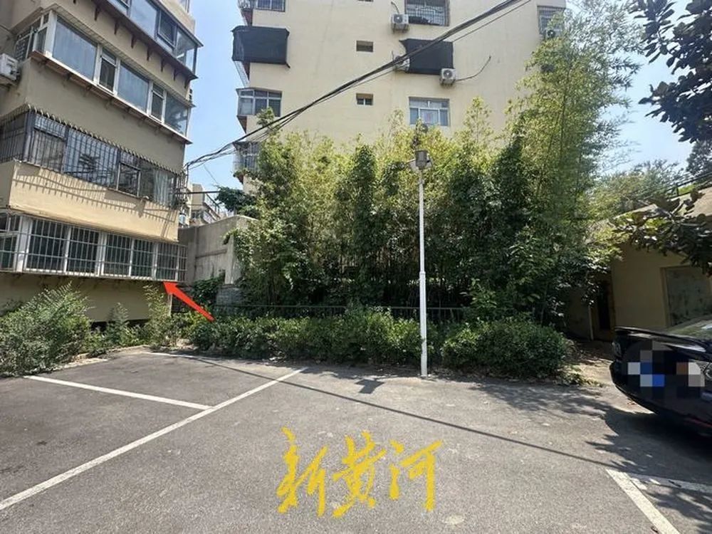 济南一小区废旧鱼池变积水坑，业主：受蚊蝇困扰多年难解决，最新回应