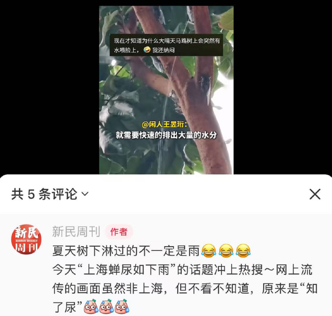 冲上热搜！上海市民崩溃：今年为啥这么多？吵得睡不着……专家释疑