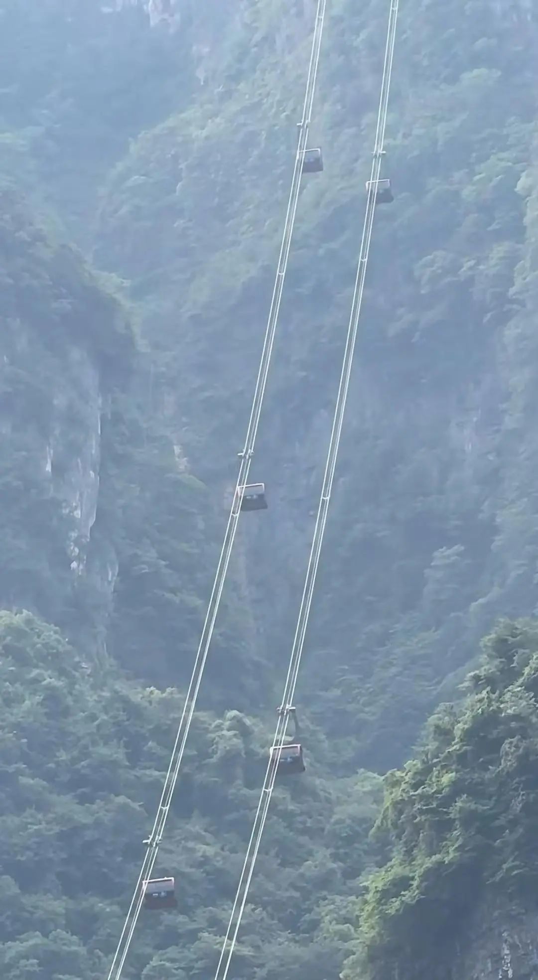 张家界天门山景区回应索道出现故障：例行早检时发现，没有游客被困