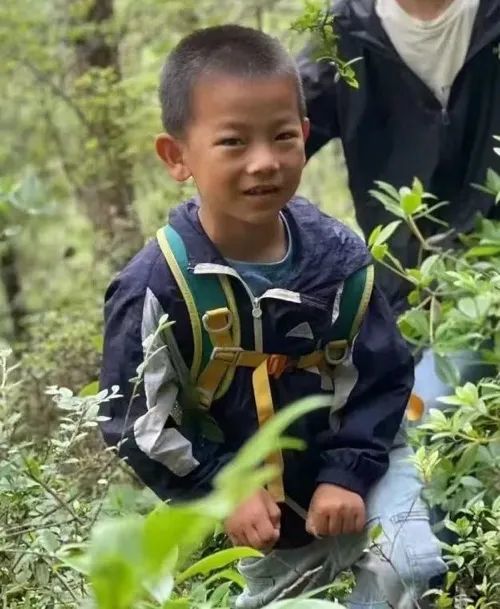 云南大理发布“8岁男童走失寻找通告”：对提供关键线索者核实后将予以适当奖励