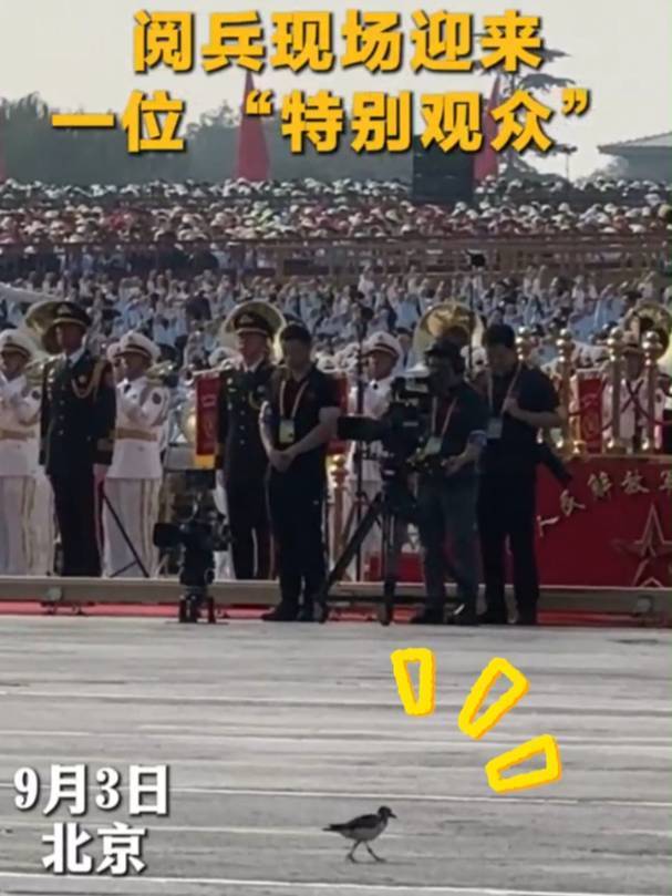 九三阅兵现场,出现一位“特别观众”?