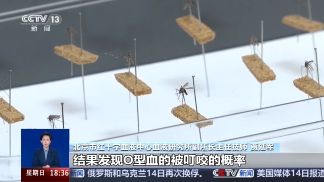 真相来了丨蚊子偏爱O型血？被蜱虫叮咬用火烧？别被这些谣言忽悠了