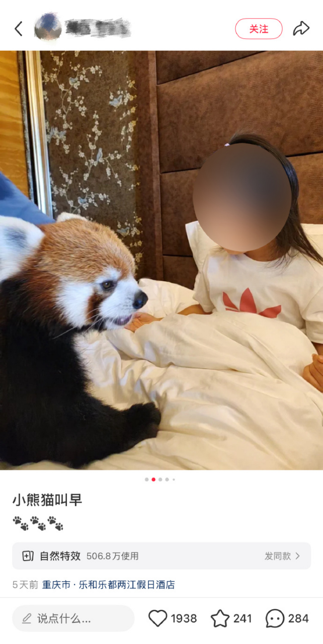 酒店提供“小熊猫叫早”服务，合法吗？