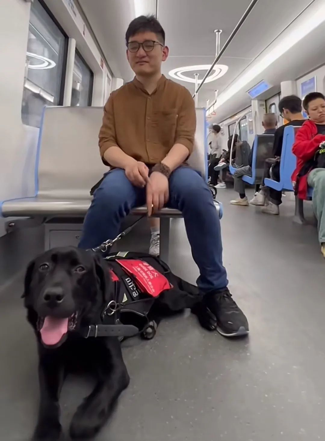 盲人小伙称博物馆拒绝带导盲犬参观引争议，陕西历史博物馆：不能进，可以派志愿者协助