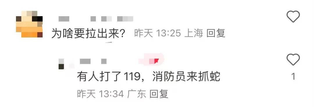 深圳湾公园惊现蟒蛇！消防员与之剧烈“搏斗”，多次脱手后成功抓捕