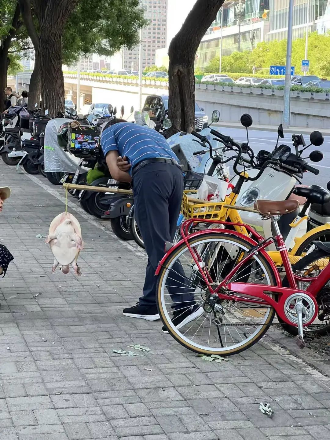 多地街头贩卖“野生鳖”，专家急呼：不能吃！放生危害更大！