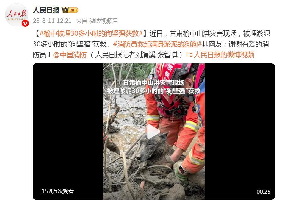 甘肃榆中被埋淤泥30多小时的“狗坚强”获救