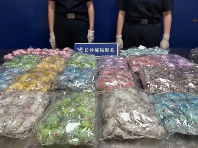 海关查获600个盗版迷你LABUBU；开售当晚多平台售罄，二手平台隐藏款已被炒至上千元