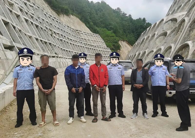 4人见“材”起意,上演神偷联盟