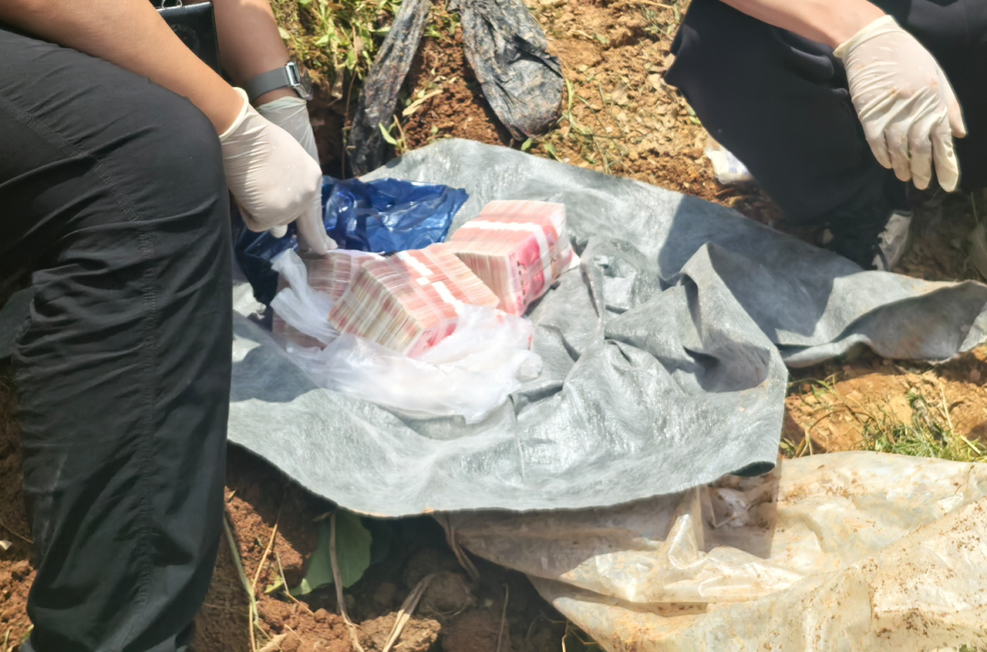 保险箱空空如也！30万现金不翼而飞，民警从地里挖出