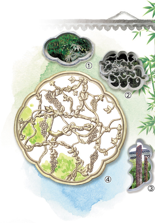 古典园林之美走红网络、融入年轻人生活日常：“拙政园的花窗”里外皆是风景