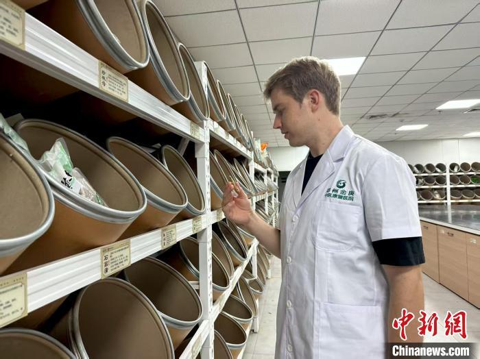 （文化中国行）德国青年“十年磨一证”：愿成中医药文化的国际传播者