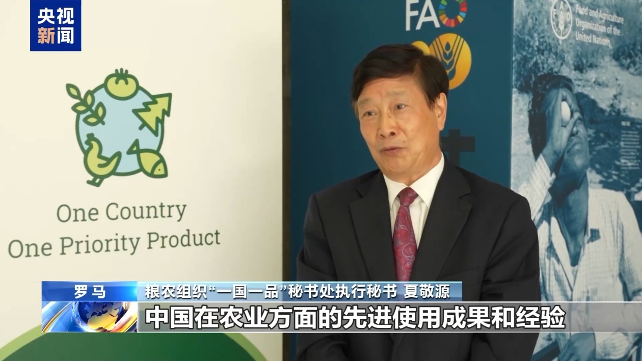 联合国粮农组织官员：中方有力支持发展中国家发展特色农产品