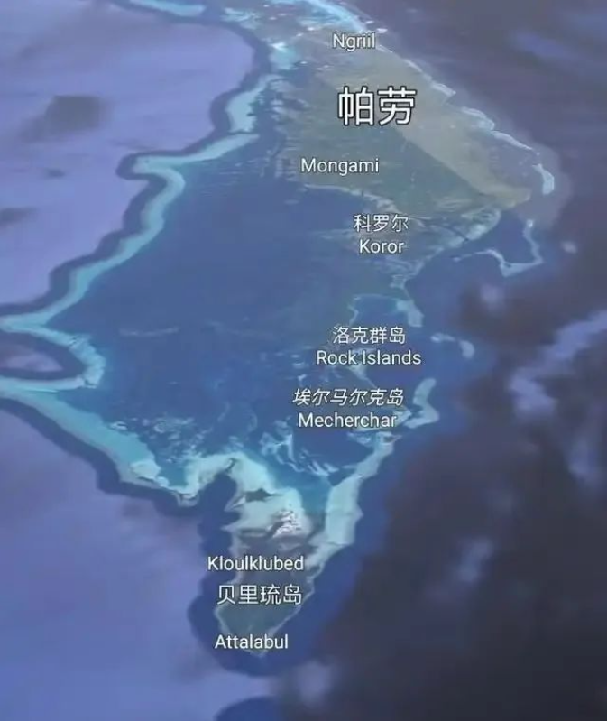 “低头发现有7条鲨鱼环绕” 极限求生27小时！帕劳失联潜水者自述