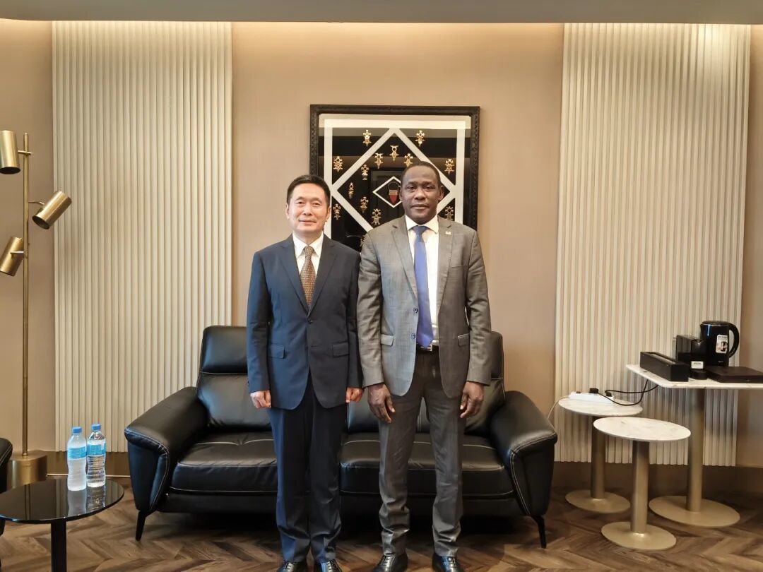 新任中国驻尼日尔大使律桂军抵尼履新