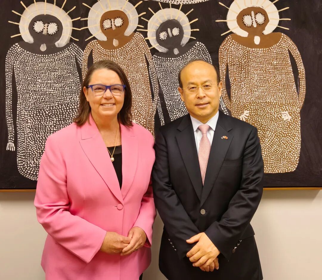 肖千大使会见澳大利亚资源与北澳事务部长玛德琳·金