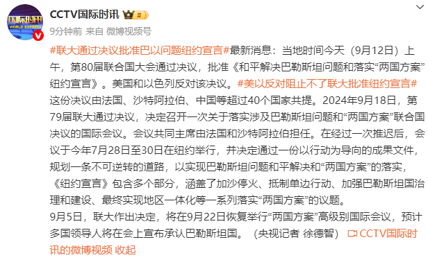 联大通过决议批准巴以问题纽约宣言