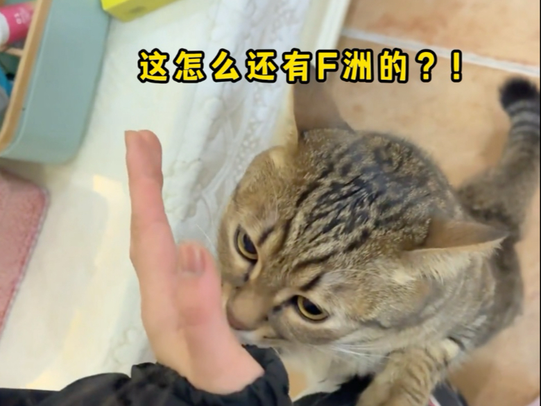 怎么还有非洲的？