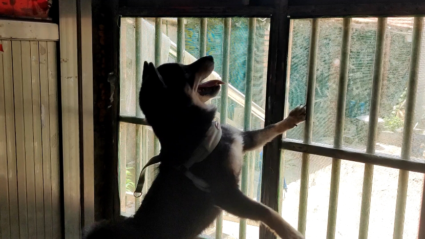 【SSo_O3】Up主探索中，欢迎收看求三连！