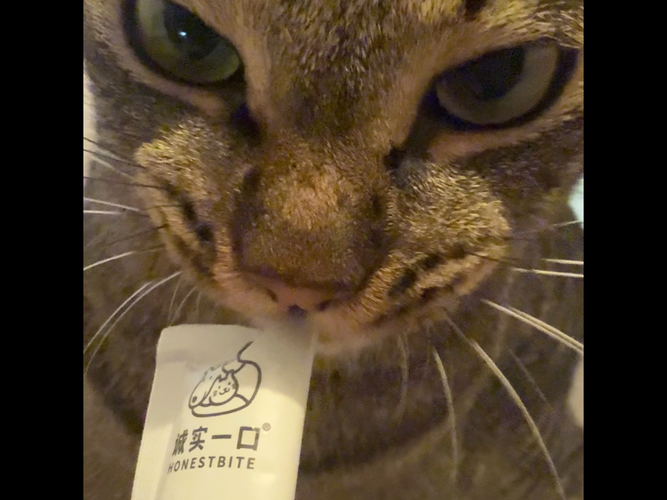 纯享版～