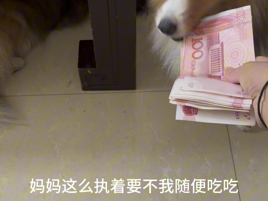 小孩识人民币