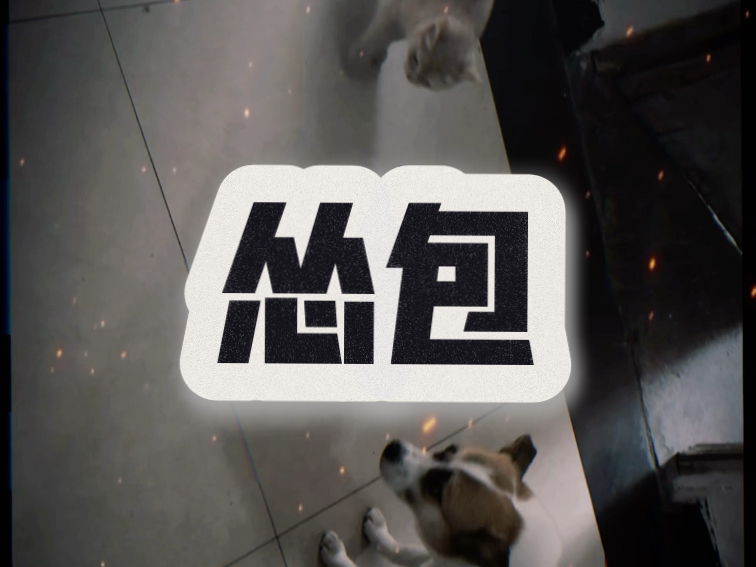 在家嗷嗷狠，出门就怂了！