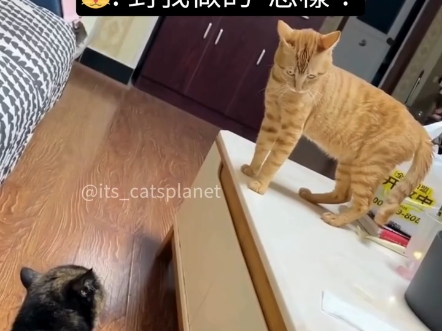 对，我做的，如何？