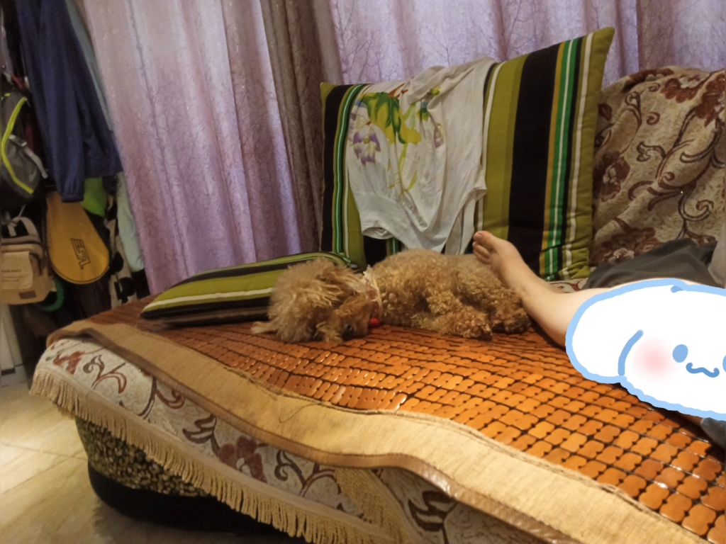 睡沙发
