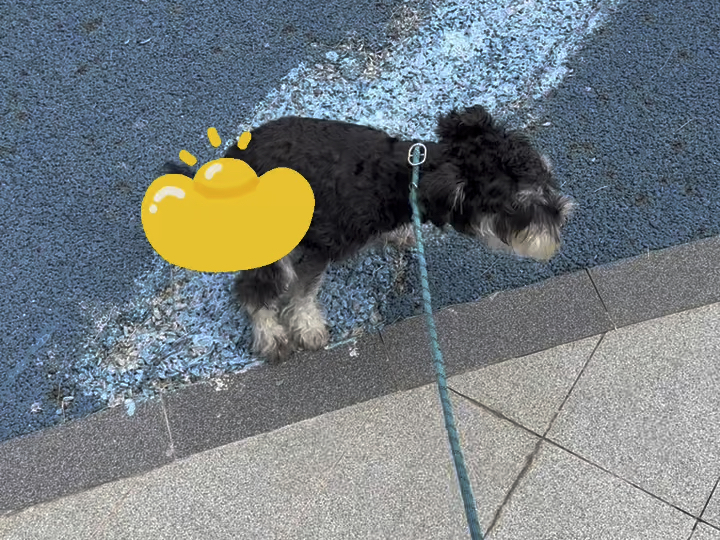 今日来财kpi完成
