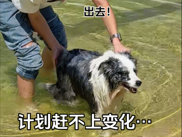 计划是美美出片，结果全员落汤鸡了…