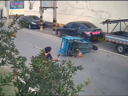 狗狗给压的这是有多急呀！